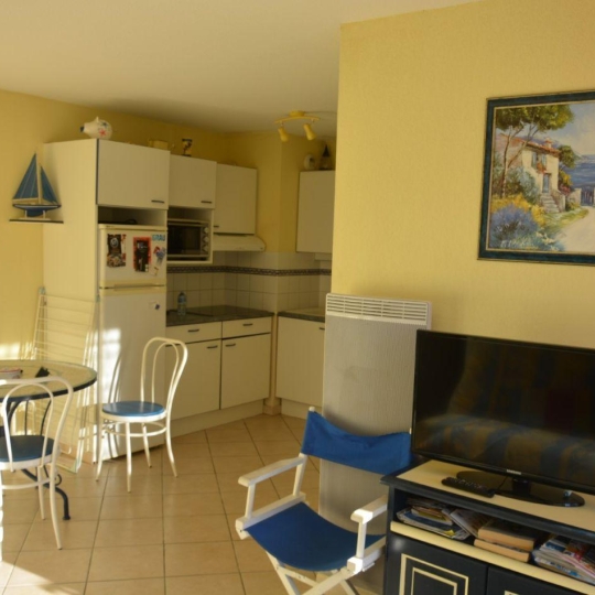  Annonces LANGUEDOC : Appartement | LE GRAU-DU-ROI (30240) | 42 m2 | 550 € 