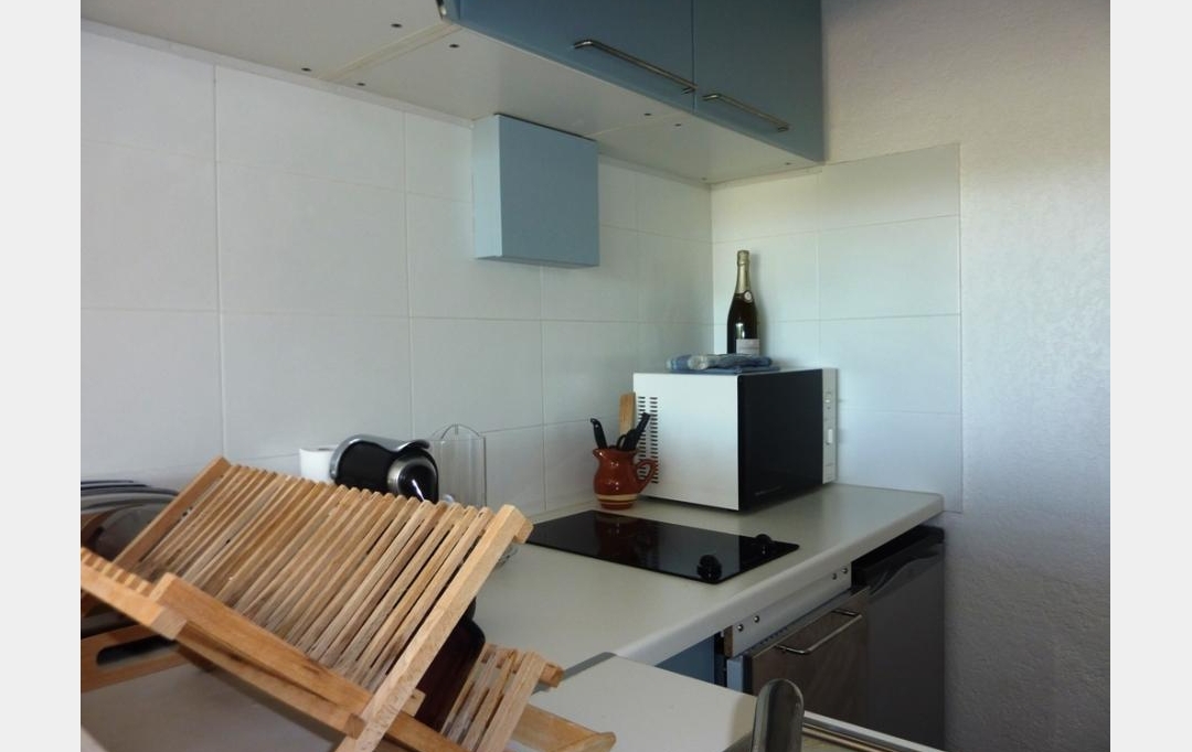 Annonces LANGUEDOC : Appartement | LE GRAU-DU-ROI (30240) | 31 m2 | 334 € 