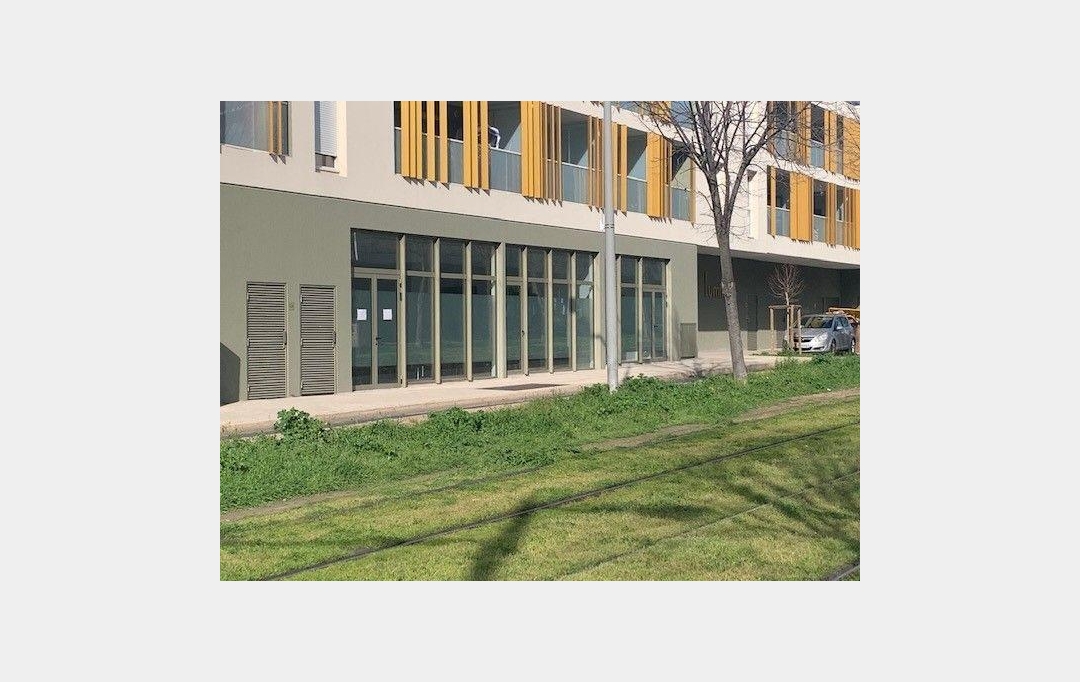 Annonces LANGUEDOC : Office | CASTELNAU-LE-LEZ (34170) | 18 m2 | 500 € 
