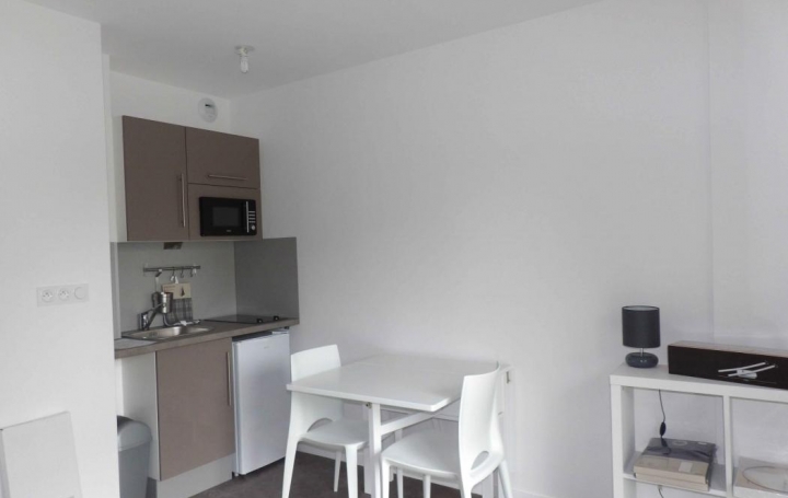 Annonces LANGUEDOC : Appartement | TROYES (10000) | 21 m2 | 380 € 